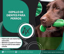 ¡Adiós al Sarro! Cepillo Dental para Mascotas – Fácil, Efectivo y Seguro 🦷🐾